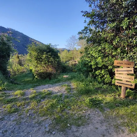 After-chevres * Villefort (Lozere)